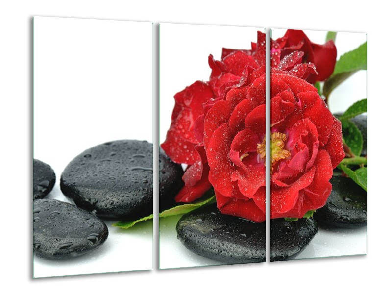 Canvas schilderij Roos | Rood, Zwart, Wit | 120x80cm 3Luik