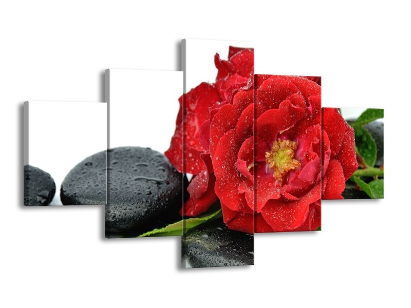 Canvas schilderij Roos | Rood, Zwart, Wit | 125x70cm 5Luik