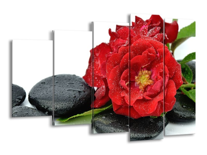 Canvas schilderij Roos | Rood, Zwart, Wit | 150x100cm 5Luik