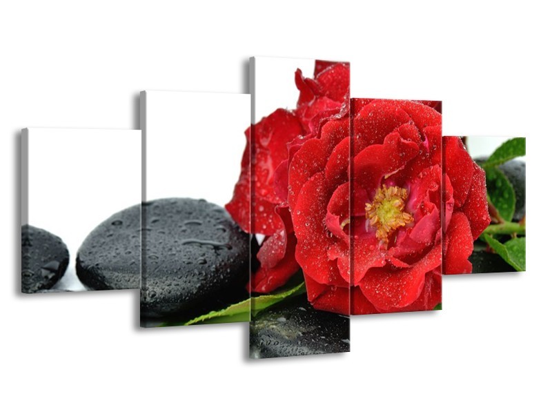 Canvas schilderij Roos | Rood, Zwart, Wit | 150x80cm 5Luik