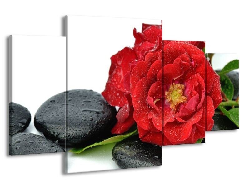 Canvas schilderij Roos | Rood, Zwart, Wit | 160x90cm 4Luik