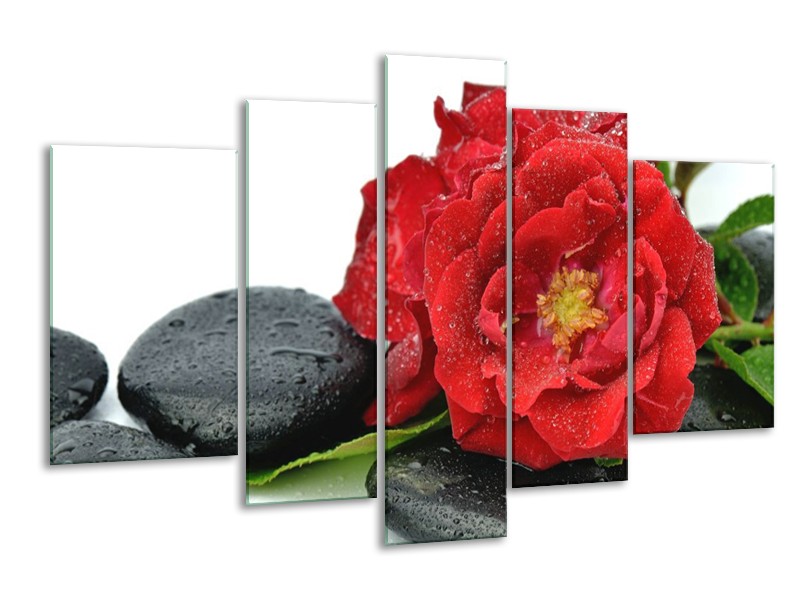 Canvas schilderij Roos | Rood, Zwart, Wit | 170x100cm 5Luik
