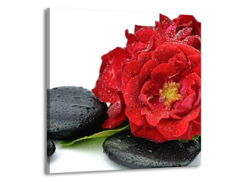 Canvas schilderij Roos | Rood, Zwart, Wit | 50x50cm 1Luik