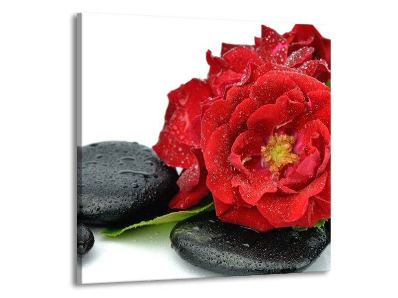 Canvas schilderij Roos | Rood, Zwart, Wit | 70x70cm 1Luik