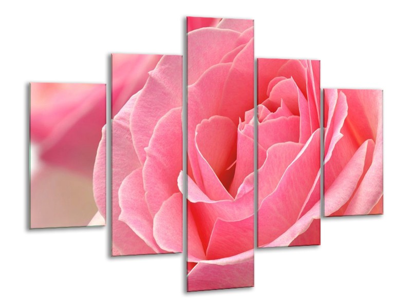 Canvas schilderij Roos | Roze | 100x70cm 5Luik
