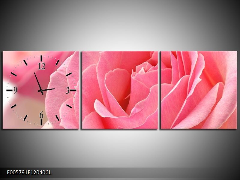 Klok schilderij Roos | Roze | 120x40cm 3Luik