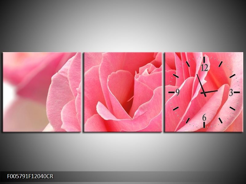 Klok schilderij Roos | Roze | 120x40cm 3Luik