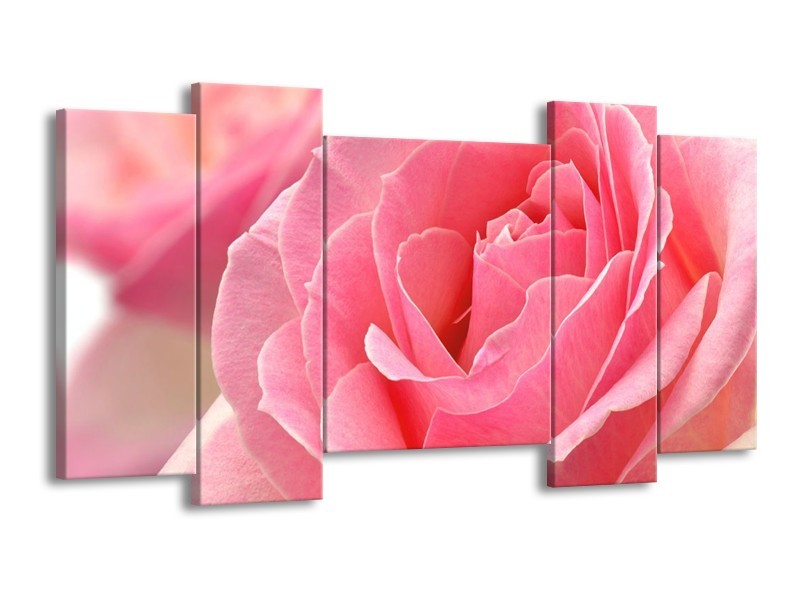 Canvas schilderij Roos | Roze | 120x65 5Luik