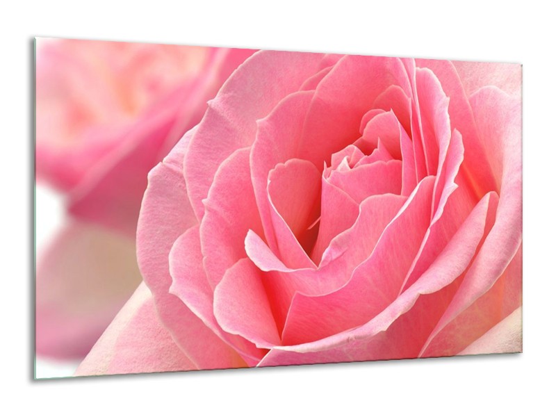 Canvas schilderij Roos | Roze | 120x70cm 1Luik