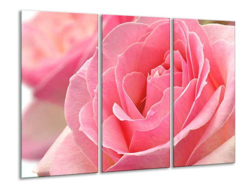 Canvas schilderij Roos | Roze | 120x80cm 3Luik