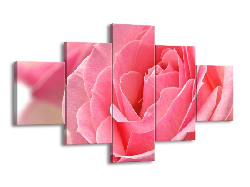 Canvas schilderij Roos | Roze | 125x70cm 5Luik