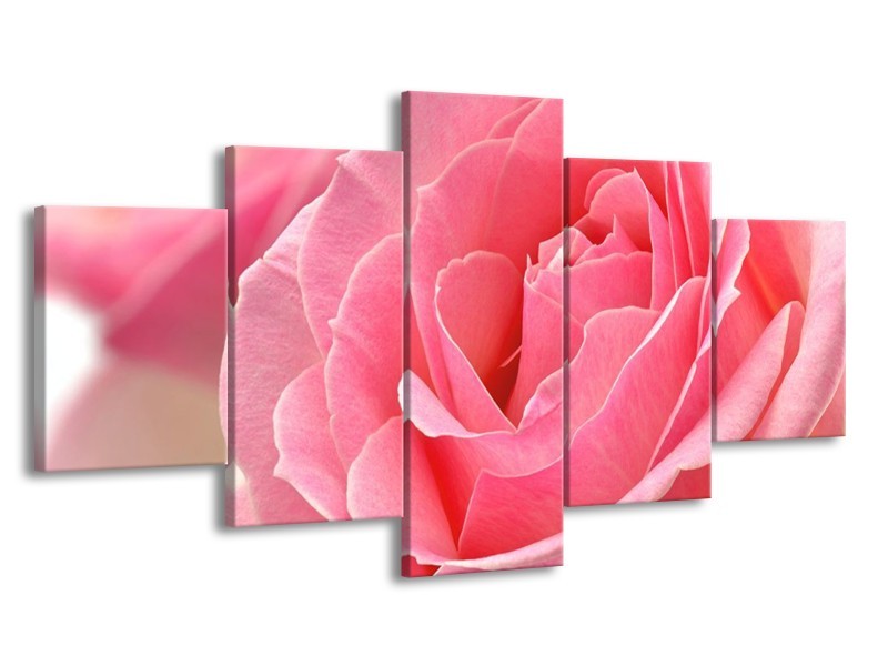 Canvas schilderij Roos | Roze | 150x80cm 5Luik