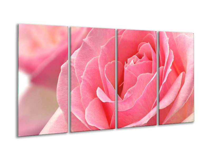 Canvas schilderij Roos | Roze | 160x80cm 4Luik