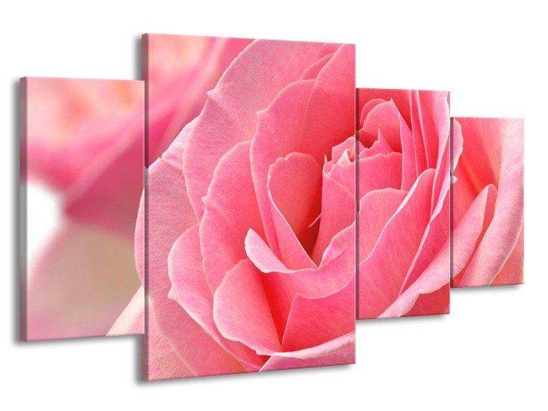 Canvas schilderij Roos | Roze | 160x90cm 4Luik