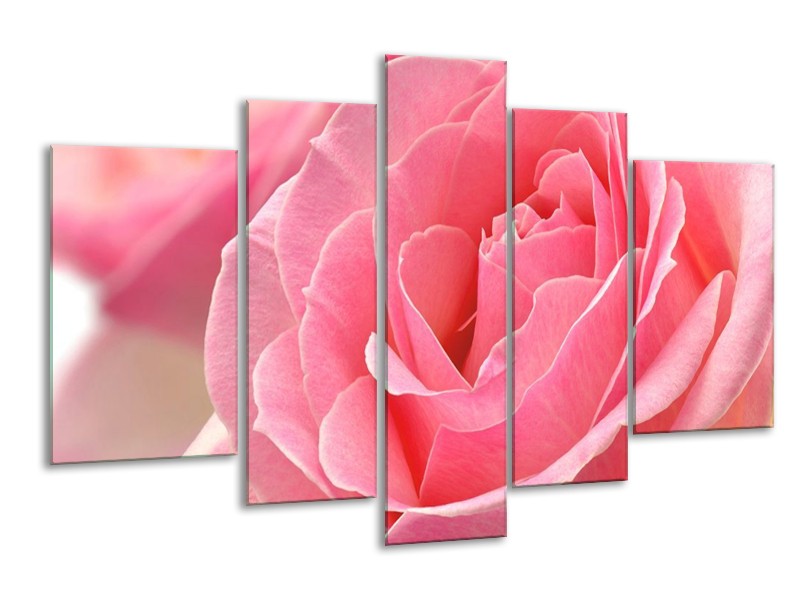 Canvas schilderij Roos | Roze | 170x100cm 5Luik