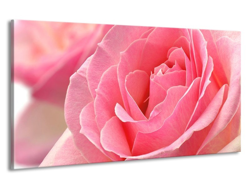 Canvas schilderij Roos | Roze | 190x100cm 1Luik