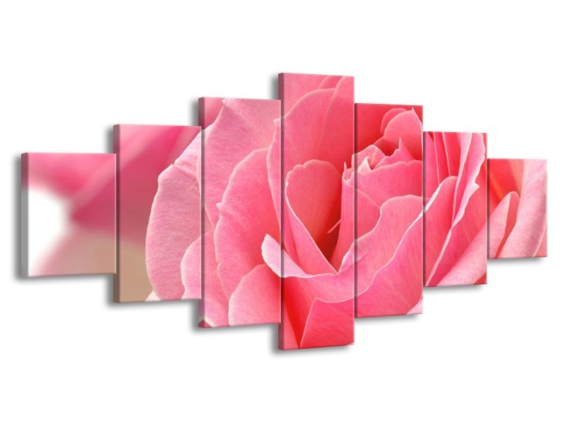 Canvas schilderij Roos | Roze | 210x100cm 7Luik
