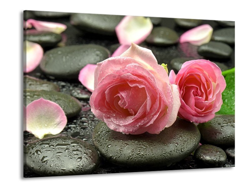 Canvas schilderij Roos | Roze, Grijs | 100x70cm 1Luik