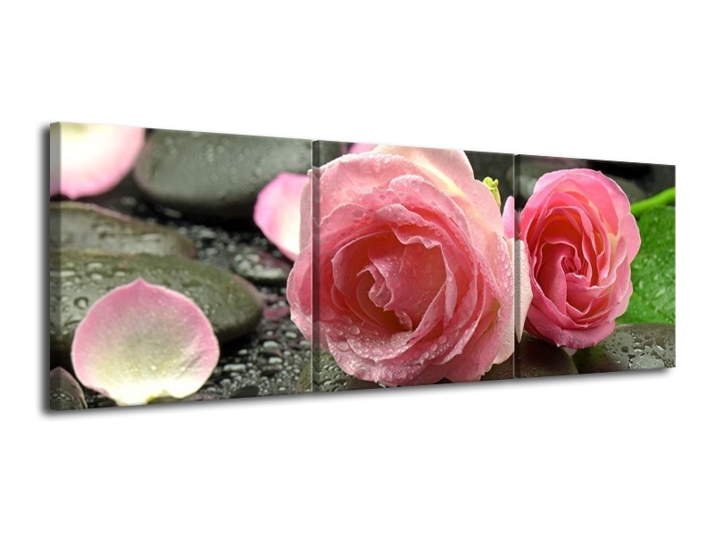 Canvas schilderij Roos | Roze, Grijs | 120x40cm 3Luik