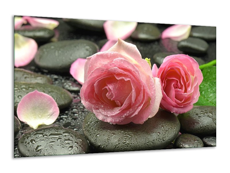 Canvas schilderij Roos | Roze, Grijs | 120x70cm 1Luik
