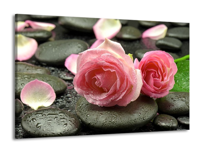 Canvas schilderij Roos | Roze, Grijs | 140x90cm 1Luik