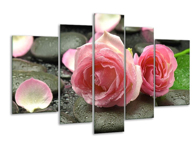 Canvas schilderij Roos | Roze, Grijs | 170x100cm 5Luik