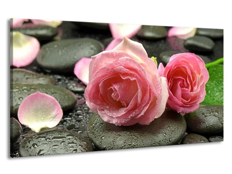 Canvas schilderij Roos | Roze, Grijs | 190x100cm 1Luik