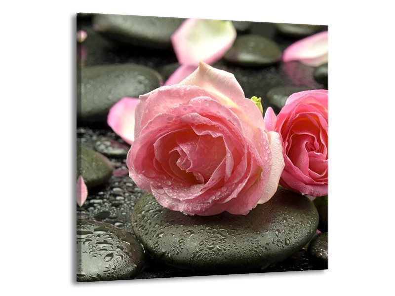 Canvas schilderij Roos | Roze, Grijs | 50x50cm 1Luik