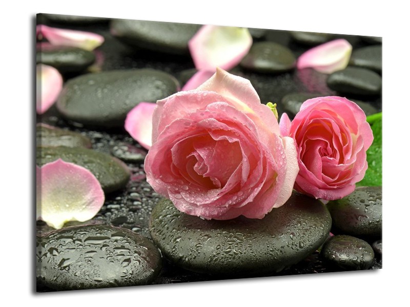 Canvas schilderij Roos | Roze, Grijs | 70x50cm 1Luik