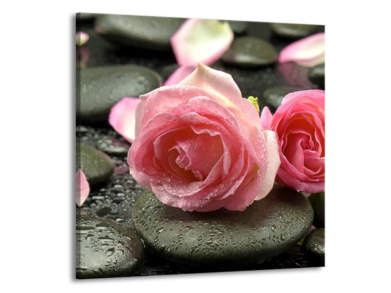 Canvas schilderij Roos | Roze, Grijs | 70x70cm 1Luik