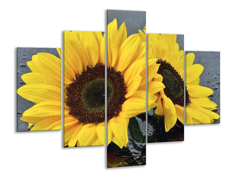 Canvas schilderij Zonnebloem | Geel, Zwart | 100x70cm 5Luik