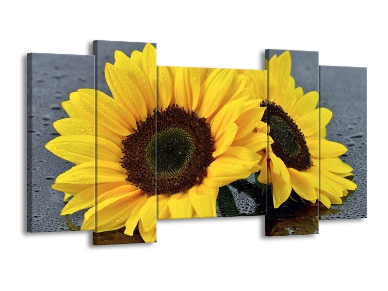 Canvas schilderij Zonnebloem | Geel, Zwart | 120x65 5Luik