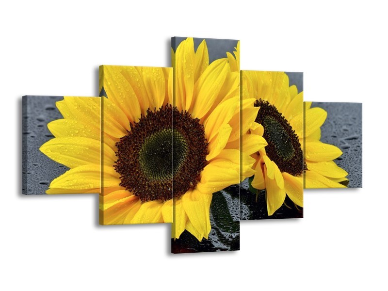 Canvas schilderij Zonnebloem | Geel, Zwart | 125x70cm 5Luik