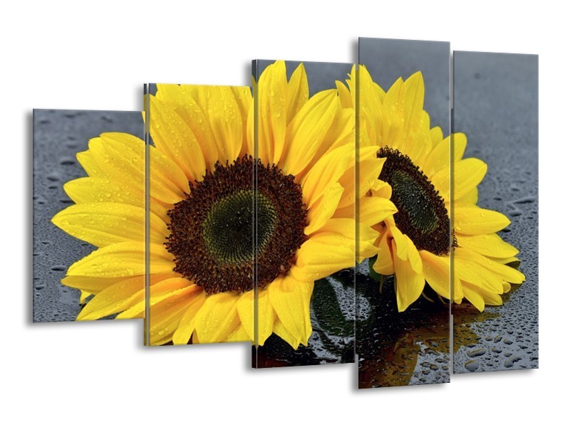 Canvas schilderij Zonnebloem | Geel, Zwart | 150x100cm 5Luik
