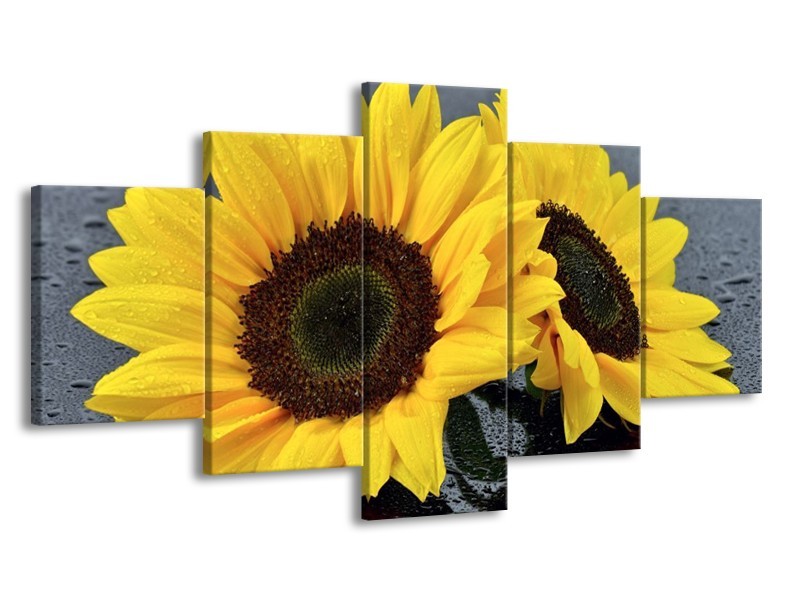 Canvas schilderij Zonnebloem | Geel, Zwart | 150x80cm 5Luik