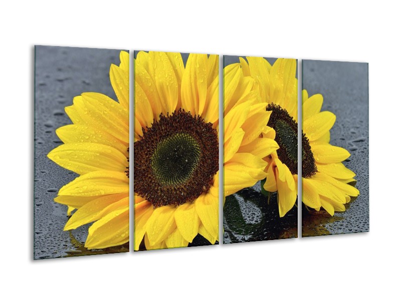Canvas schilderij Zonnebloem | Geel, Zwart | 160x80cm 4Luik