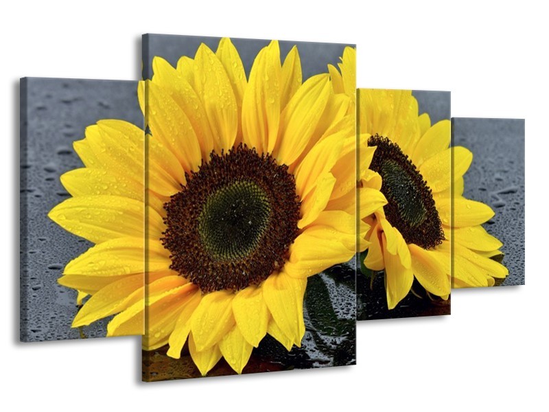 Canvas schilderij Zonnebloem | Geel, Zwart | 160x90cm 4Luik