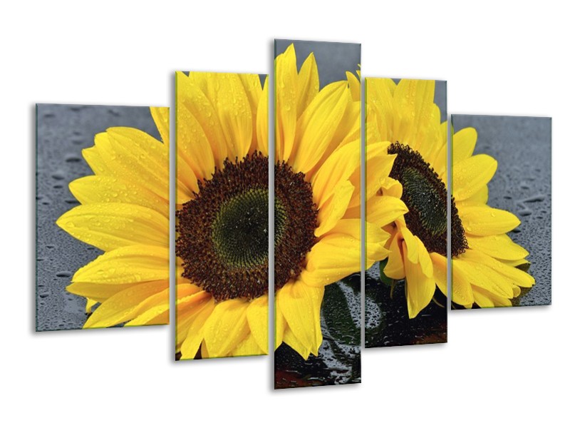 Canvas schilderij Zonnebloem | Geel, Zwart | 170x100cm 5Luik