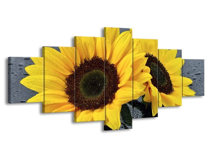 Canvas schilderij Zonnebloem | Geel, Zwart | 210x100cm 7Luik