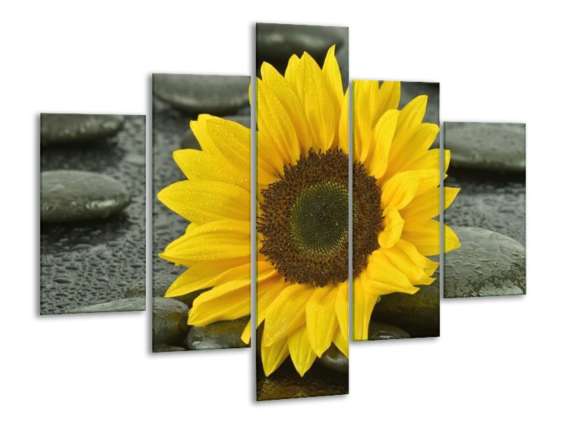 Canvas schilderij Zonnebloem | Geel, Zwart | 100x70cm 5Luik