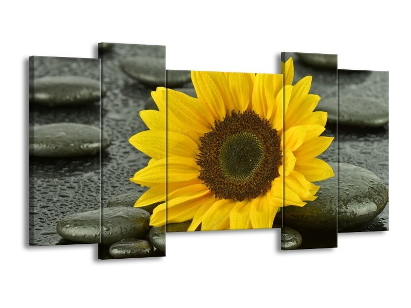 Canvas schilderij Zonnebloem | Geel, Zwart | 120x65 5Luik