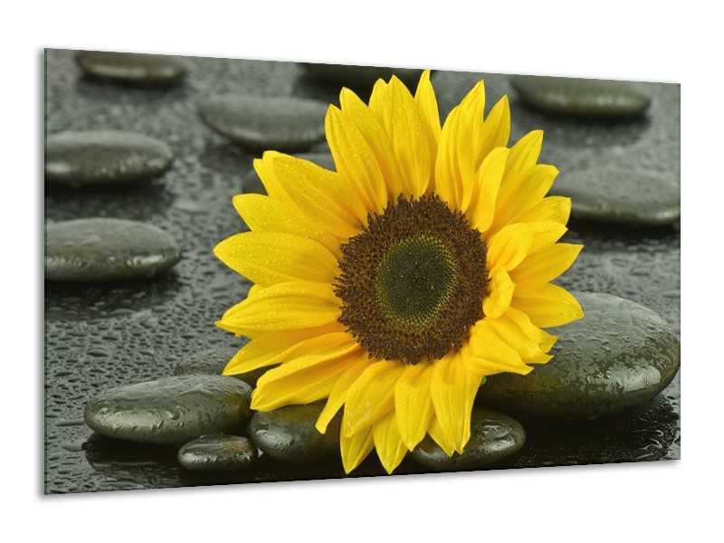Canvas schilderij Zonnebloem | Geel, Zwart | 120x70cm 1Luik