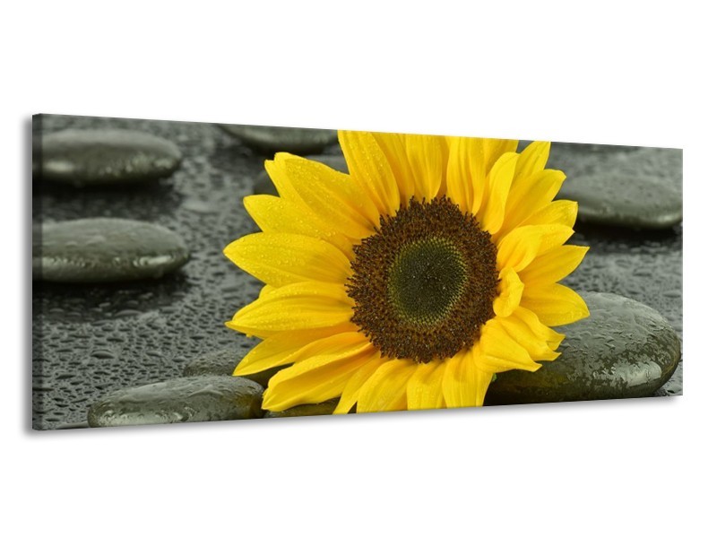 Canvas schilderij Zonnebloem | Geel, Zwart | 145x58cm 1Luik