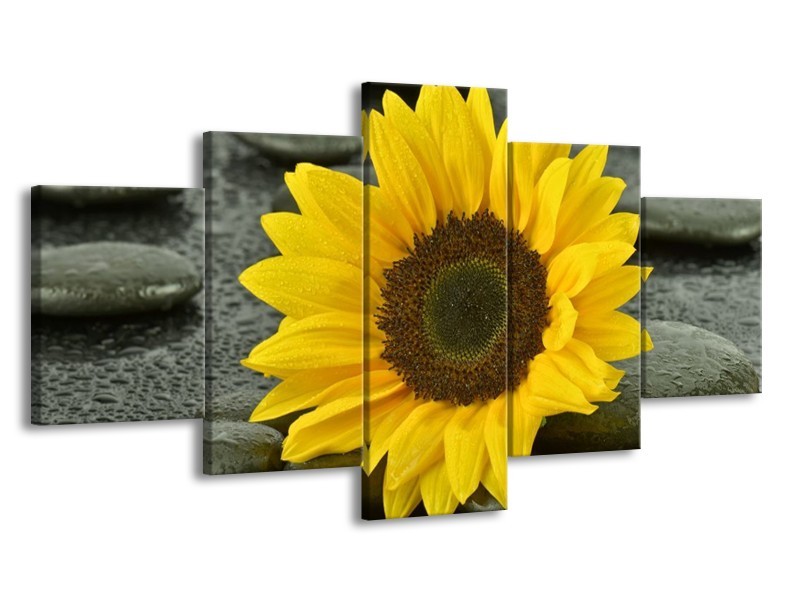 Canvas schilderij Zonnebloem | Geel, Zwart | 150x80cm 5Luik