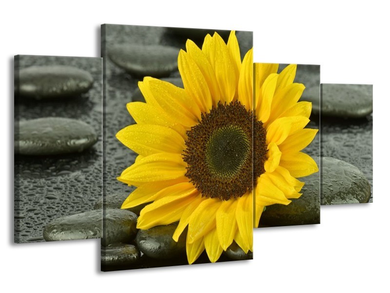 Canvas schilderij Zonnebloem | Geel, Zwart | 160x90cm 4Luik
