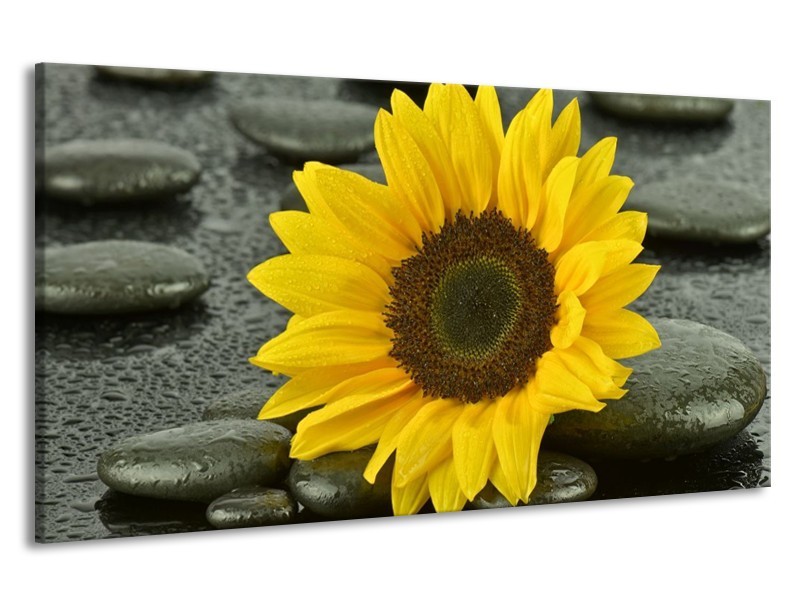 Canvas schilderij Zonnebloem | Geel, Zwart | 190x100cm 1Luik