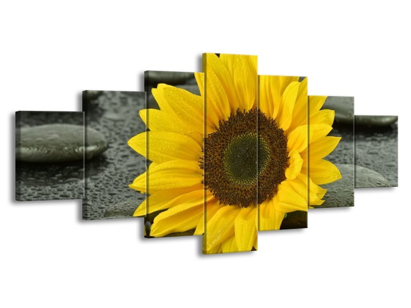 Canvas schilderij Zonnebloem | Geel, Zwart | 210x100cm 7Luik