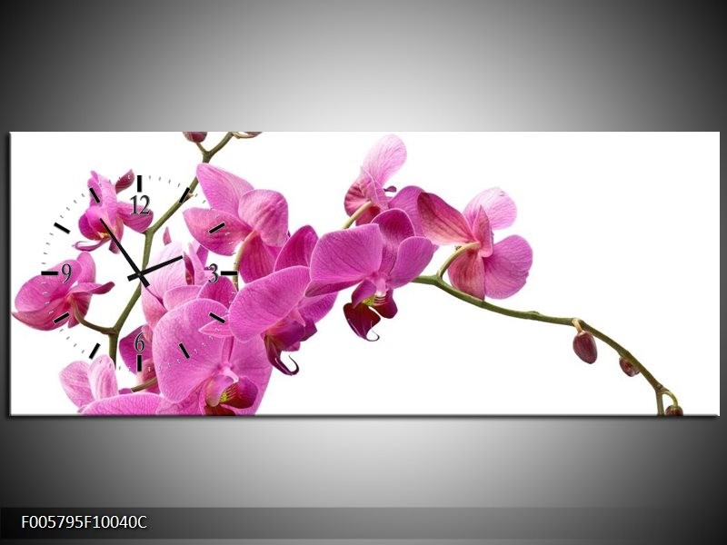 Klok schilderij Orchidee | Roze, Wit | 100x40cm 1Luik