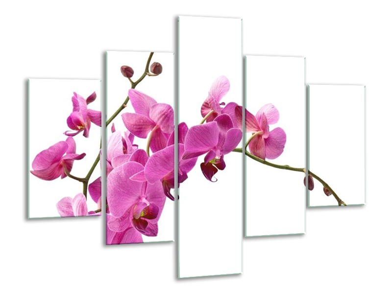 Canvas schilderij Orchidee | Roze, Wit | 100x70cm 5Luik