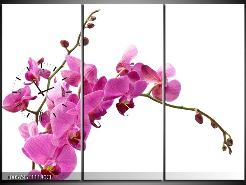 Klok schilderij Orchidee | Roze, Wit | 111x80cm 3Luik